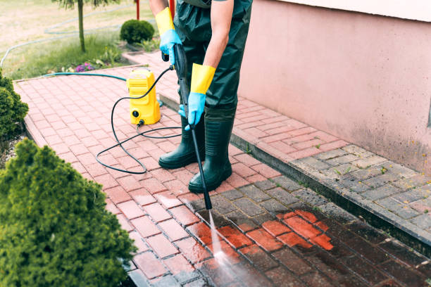 Best Sidewalk Pressure Washing  in Los Fresnos, TX