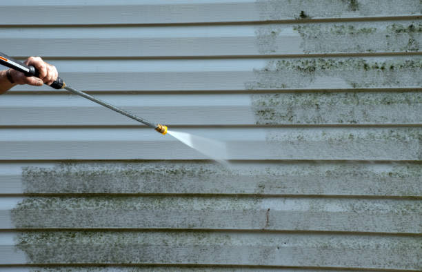 Best Commercial Pressure Washing  in Los Fresnos, TX