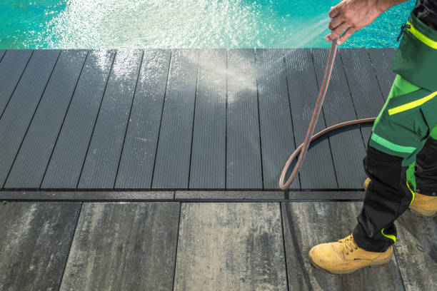Best Best Pressure Washing Companies  in Los Fresnos, TX