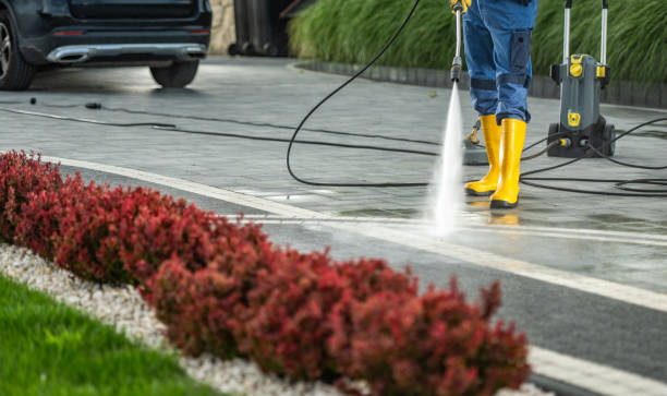 Best Affordable Pressure Washing  in Los Fresnos, TX