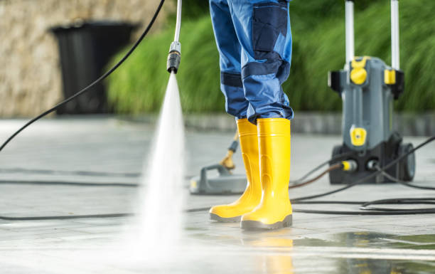 Best Fence Pressure Washing  in Los Fresnos, TX