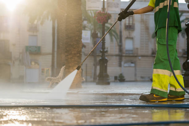 Best Fence Pressure Washing  in Los Fresnos, TX