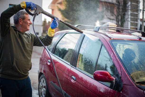 Best Power Washing Near Me  in Los Fresnos, TX